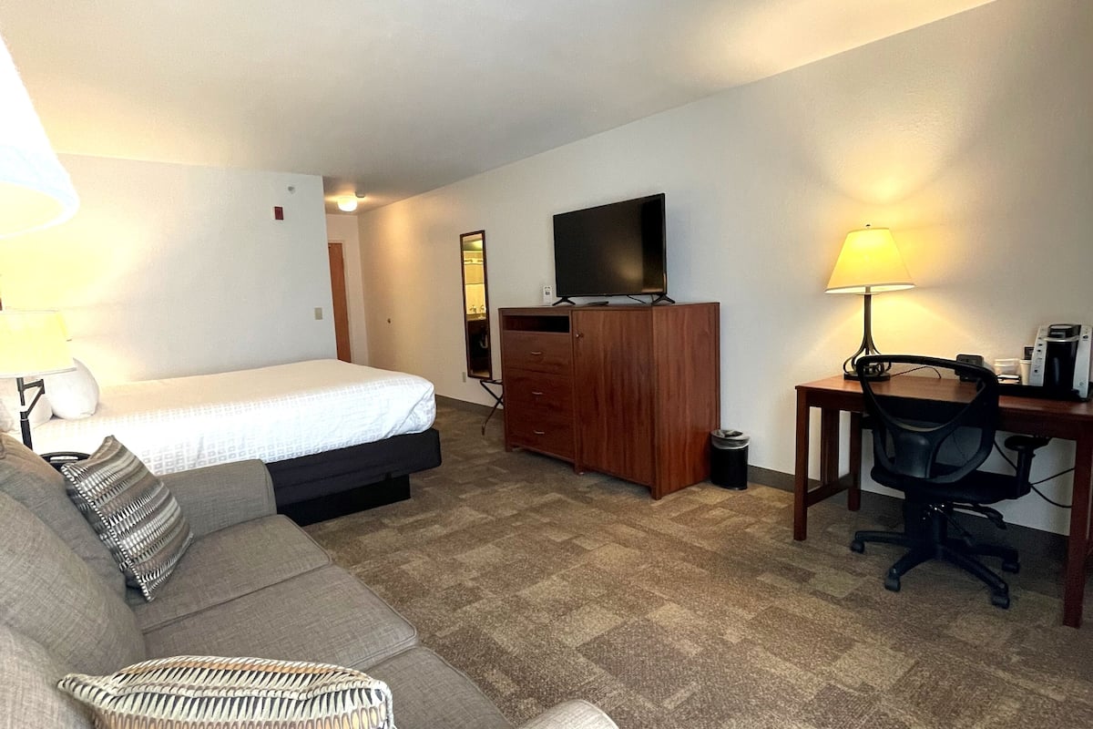 standard room, 1 king bed with sofa bed | egyptian cotton sheets, premium bedding, pillow-top beds, desk