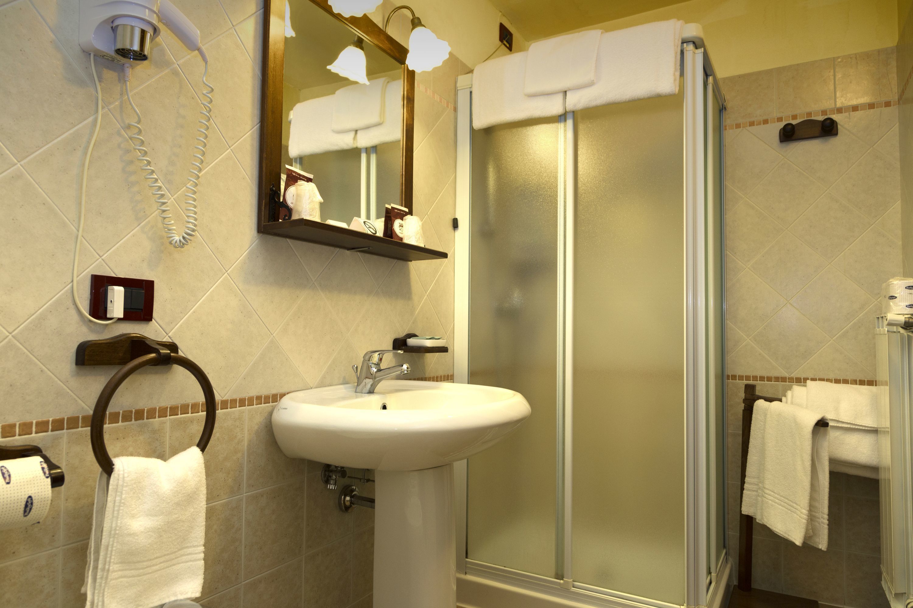 shower, free toiletries, hair dryer, bidet