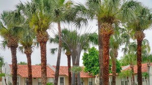 A row of palm trees in front of a building with a red-tiled roof. - The Bungalows on Shary, Mission-McAllen (Mission)