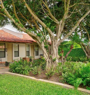 Garden view - The Bungalows on Shary, Mission-McAllen (Mission)