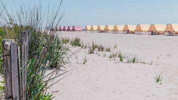 Een strand met rijen strandparasols en een houten omheining met beplanting.