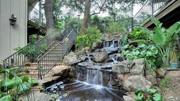 Escape to a serene oasis with a soothing waterfall and lush surroundings.