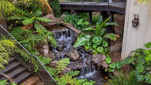 Un jardin luxuriant agrémenté d’une petite cascade, d’un escalier en bois et d’une rambarde en métal.