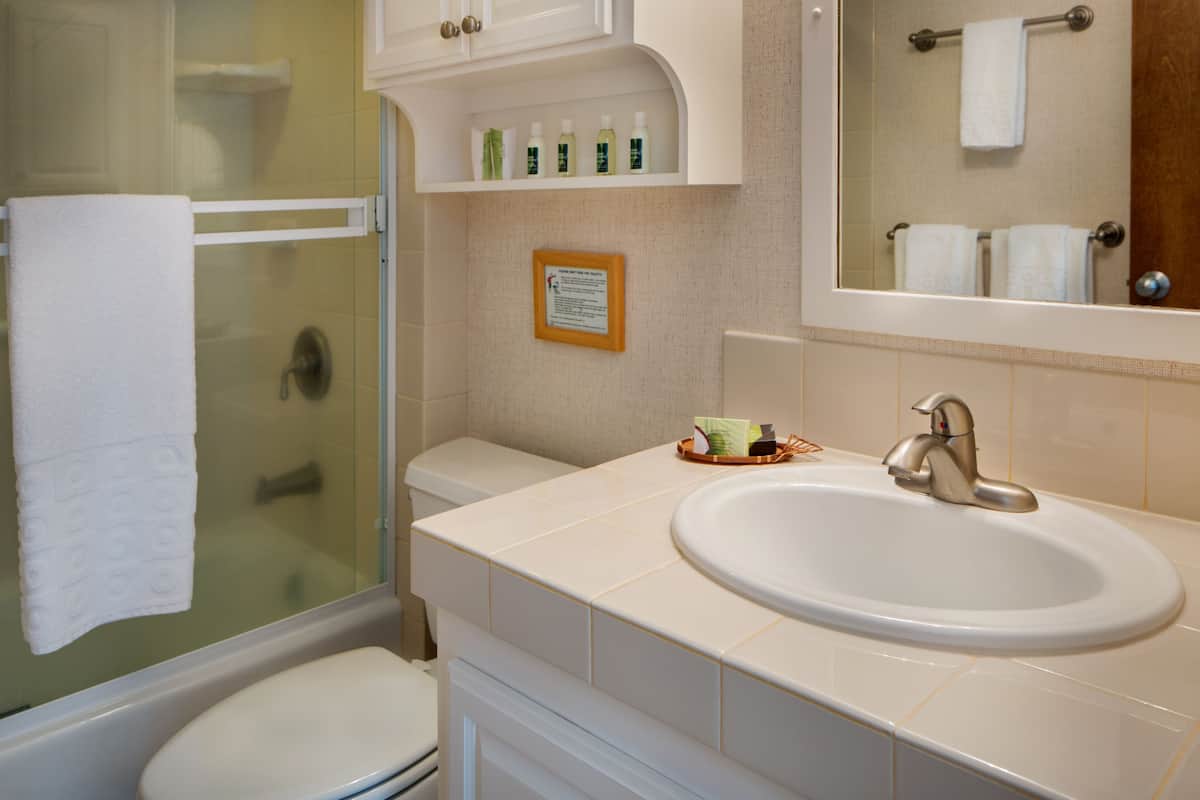 combined shower/bathtub, free toiletries, hair dryer, bathrobes