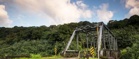 Un puente de metal con estructura en forma de armadura triangular sobre una carretera, rodeado de vegetación exuberante y una ladera boscosa.