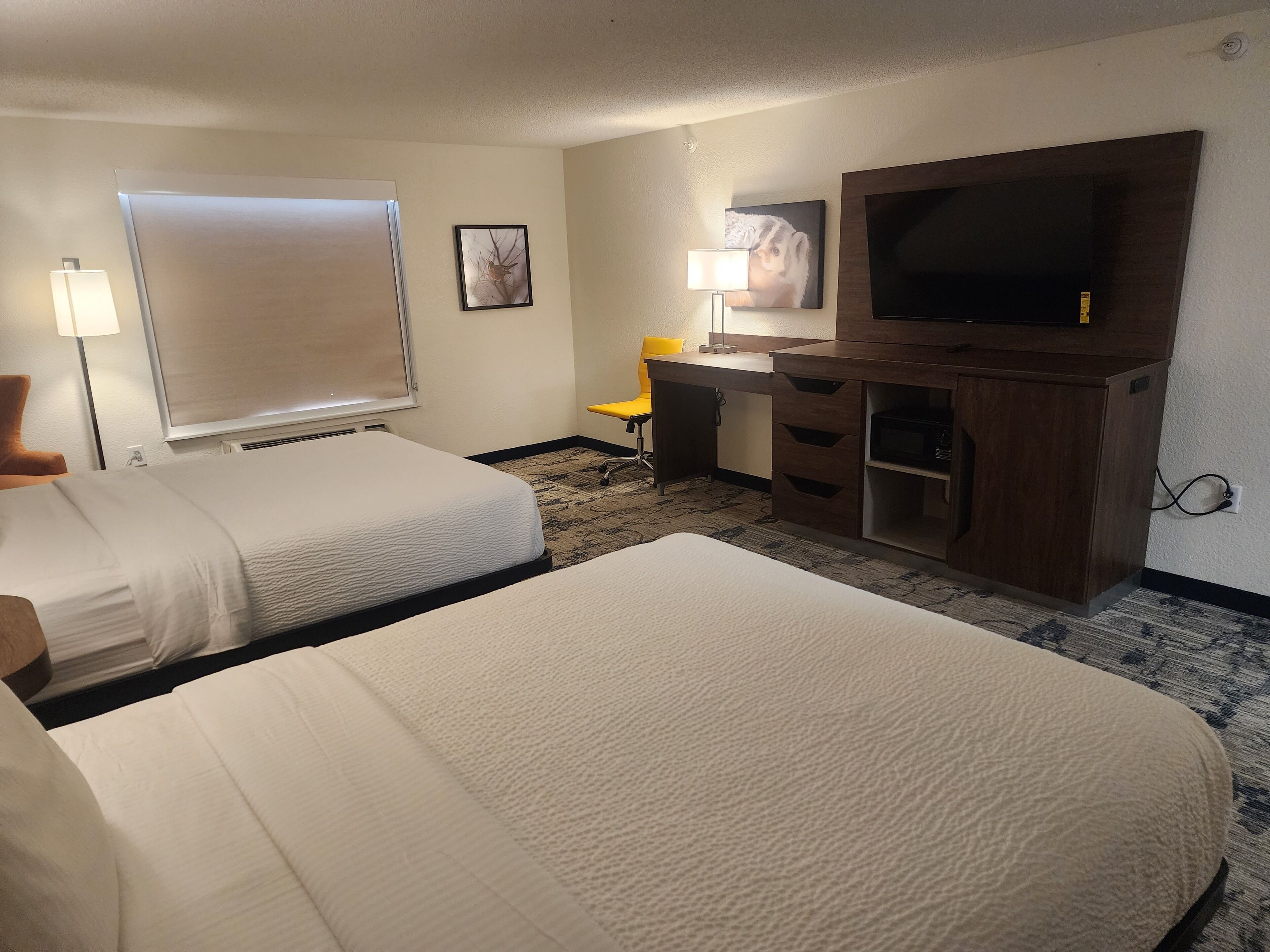 A hotel room with two beds, a desk, a chair, a TV, and a lamp.