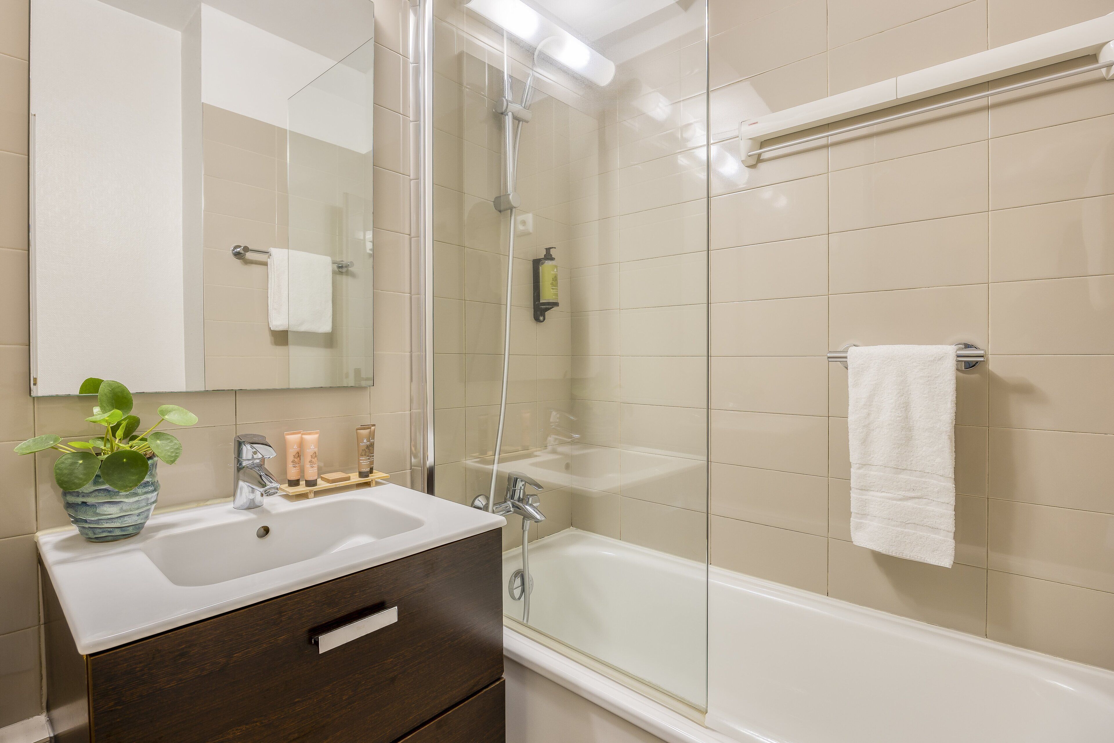 A bathroom with a glass shower enclosure, a sink with a mirror, and a vanity with a plant.