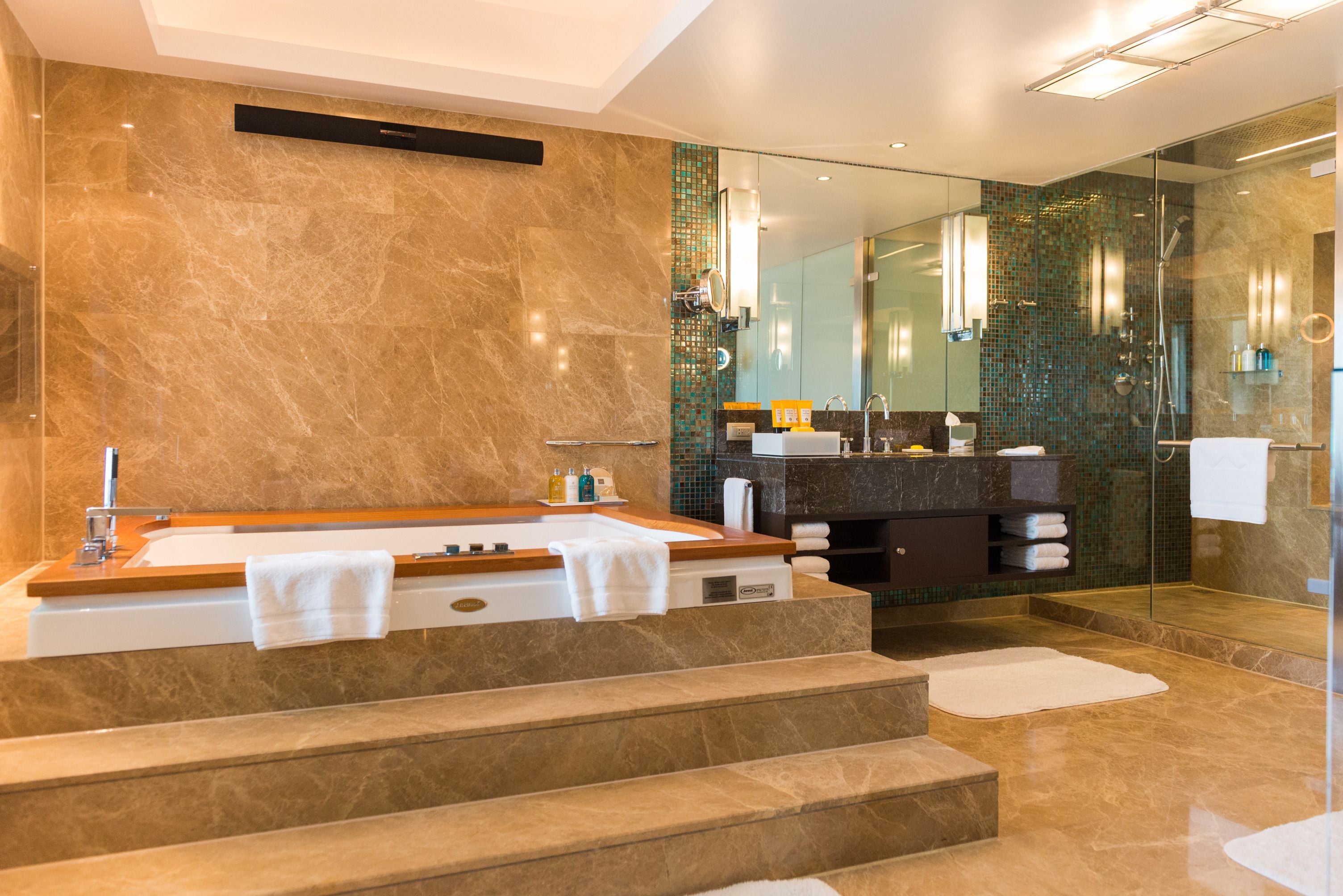 hydromassage showerhead, designer toiletries, hair dryer, bathrobes