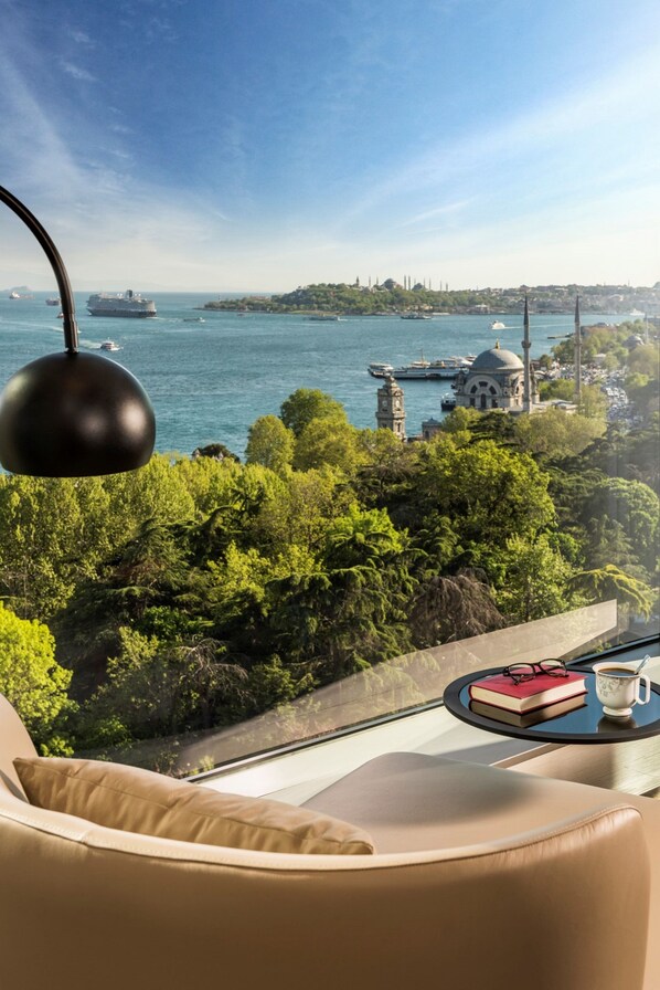 View from room - Swissotel The Bosphorus Istanbul (Istanbul)