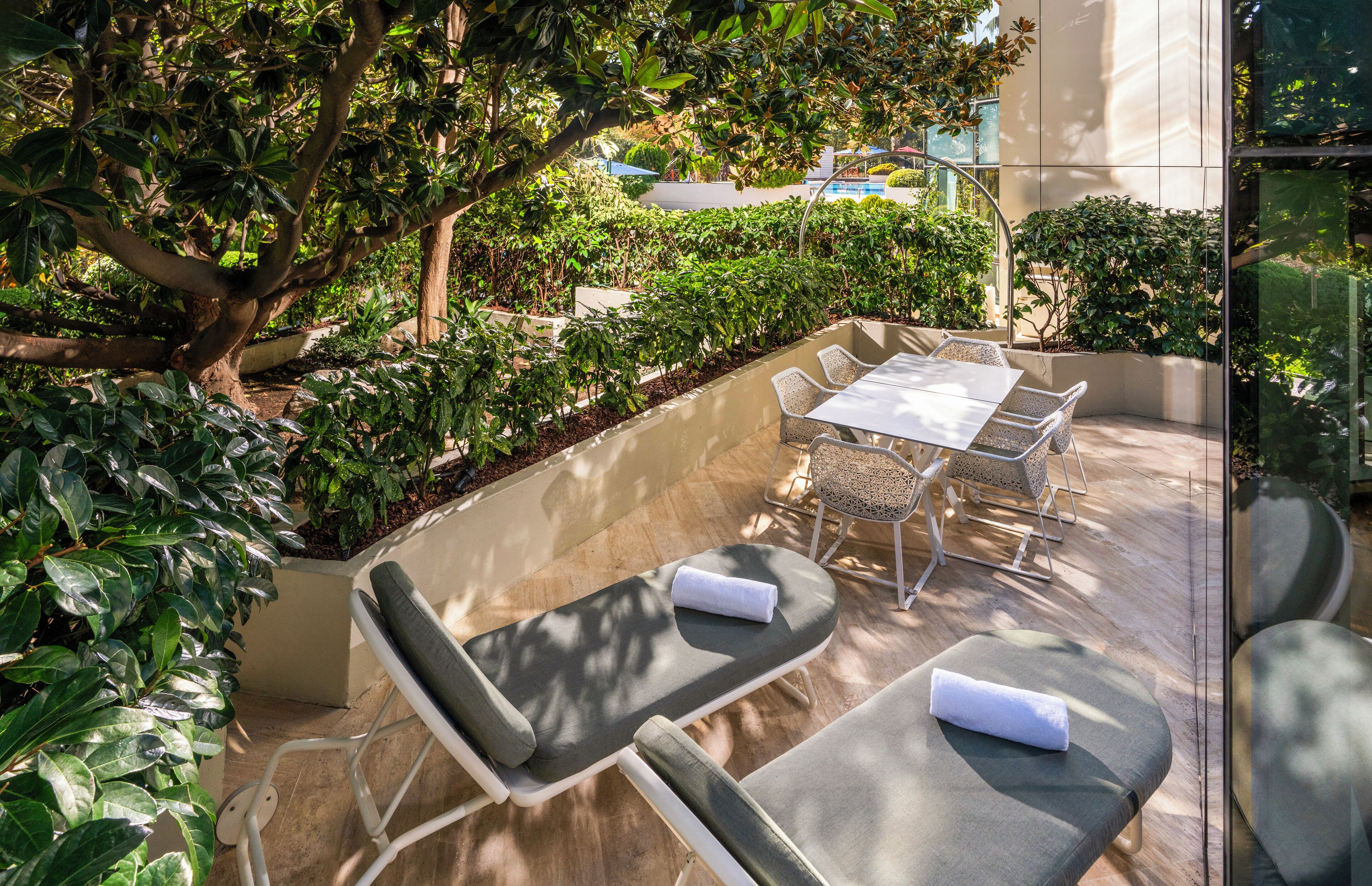 A sunlit outdoor seating area with a table and chairs, surrounded by lush greenery and a large tree.