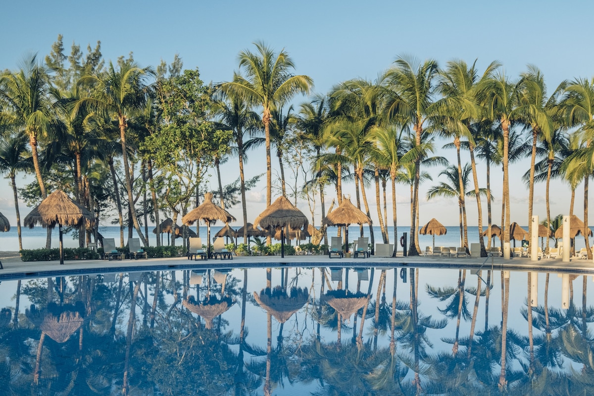 Relax by the pool surrounded by palm trees and lounge chairs, with the ocean in the background.