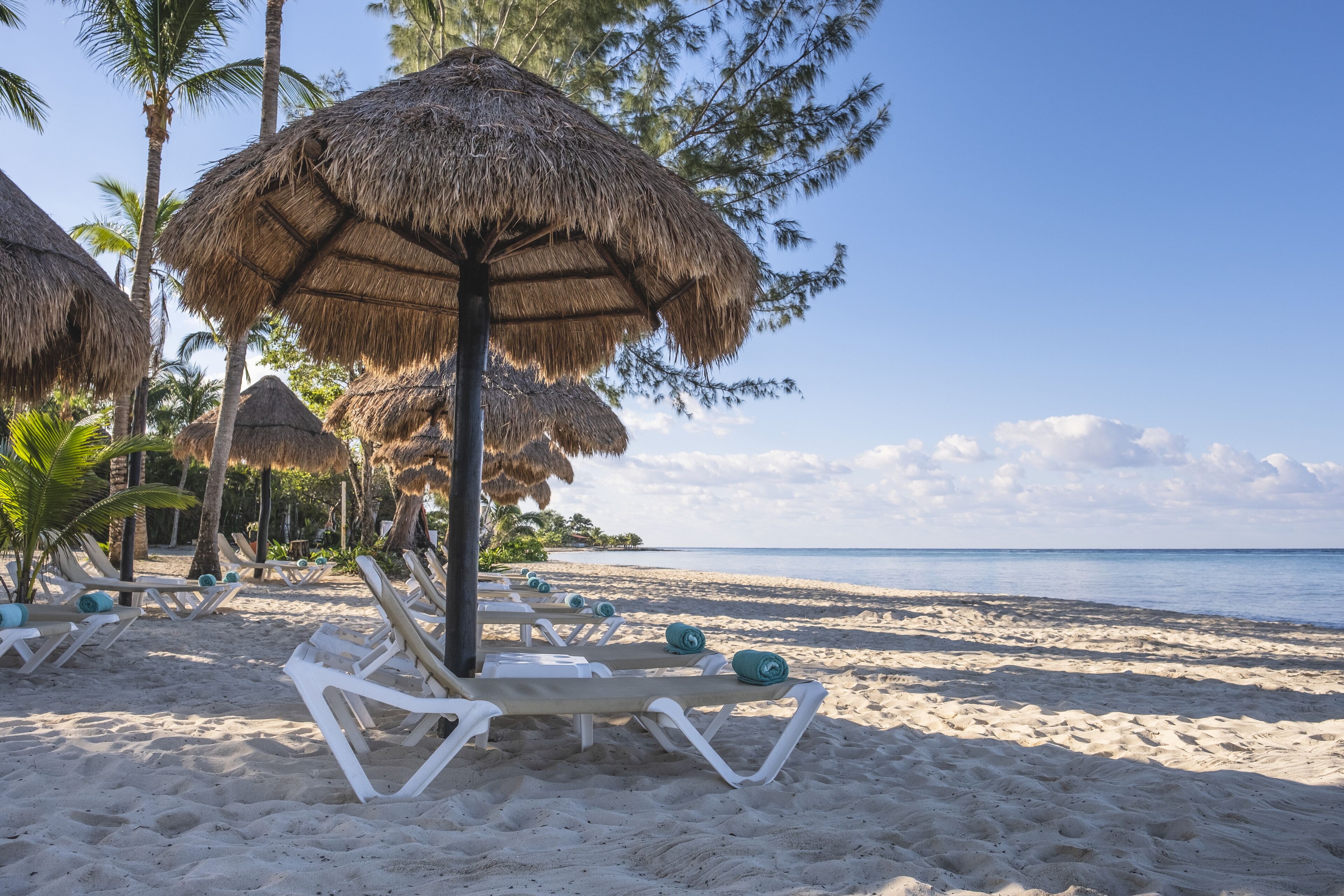 Une plage avec des parasols en chaume et des chaises longues, des palmiers et une vue dégag ée sur l’océan.