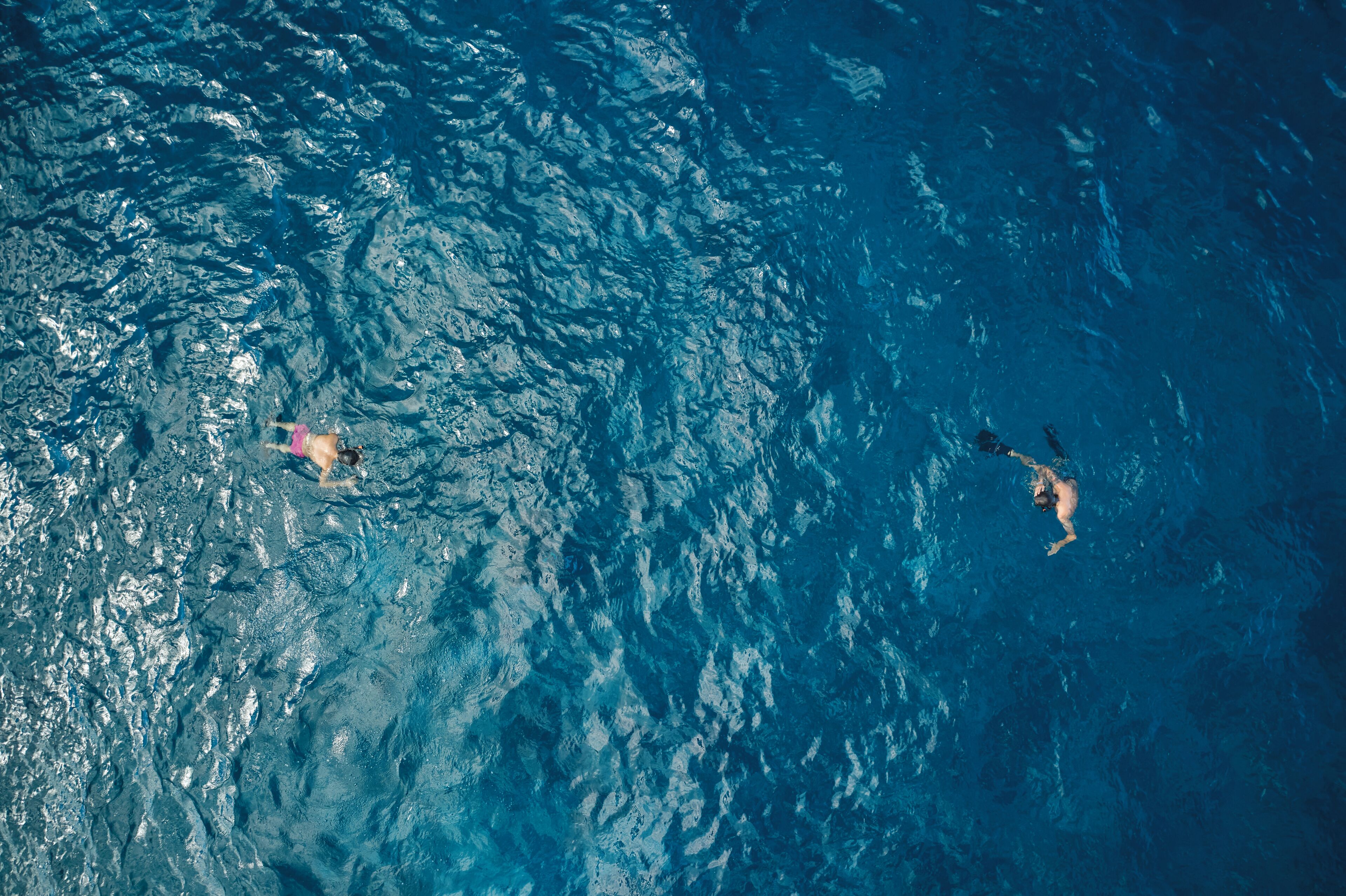 An aerial view of a swimming pool with two people swimming.