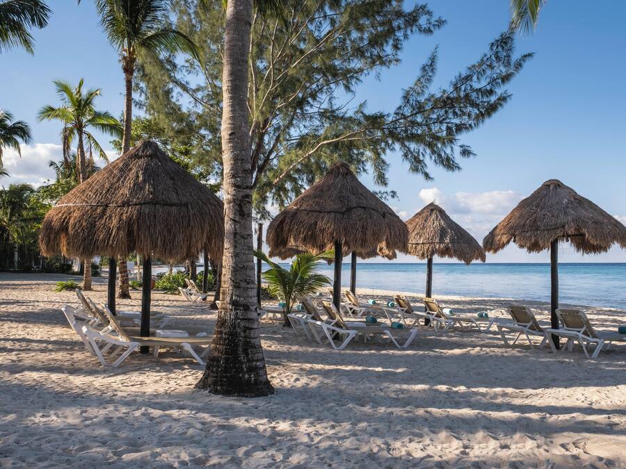 A beach with thatched umbrellas and white lounge chairs.