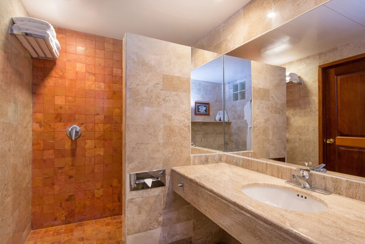 Shower, eco-friendly toiletries, hair dryer, towels