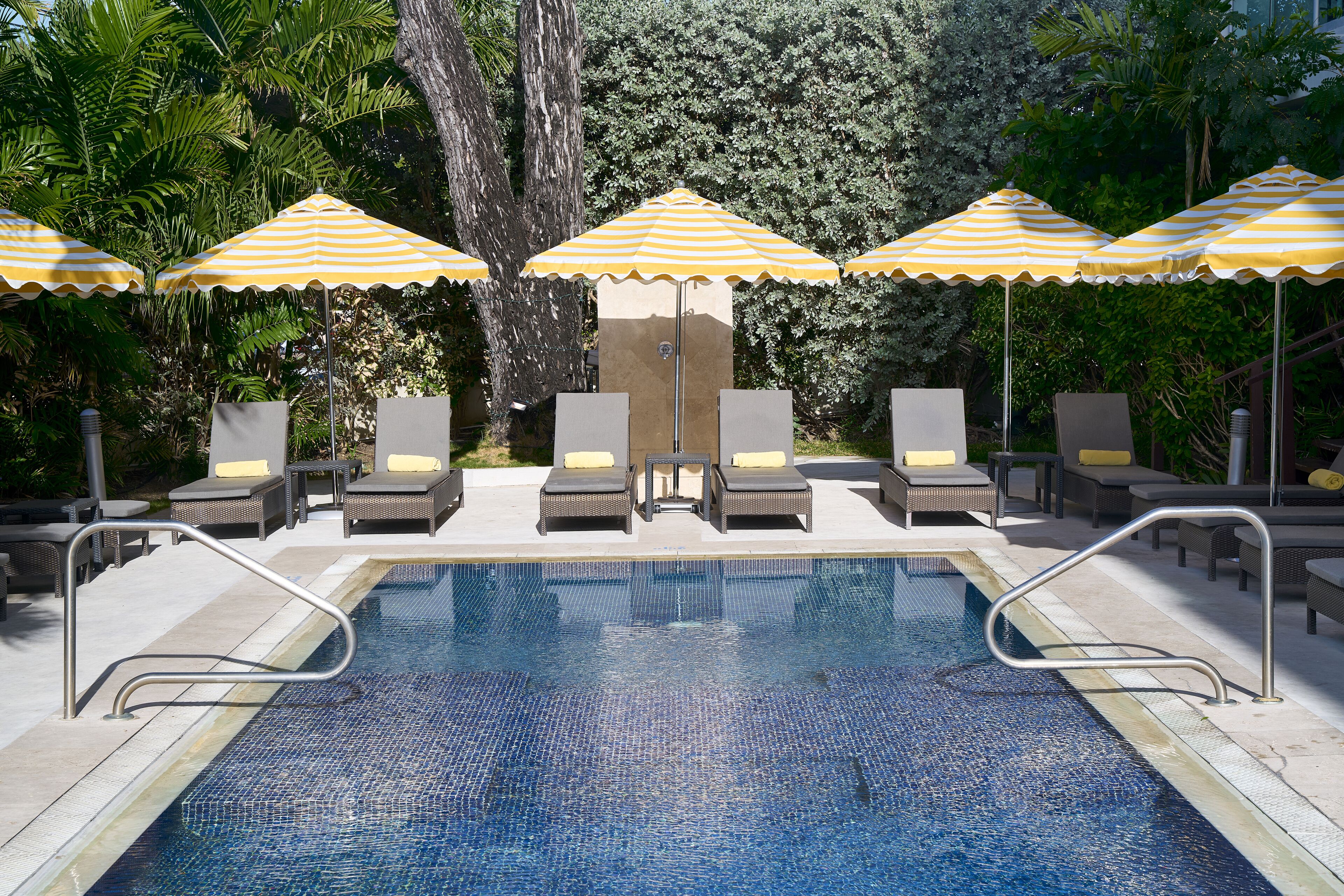 outdoor pool, pool loungers