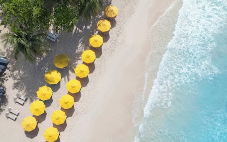An aerial view of a beach with rows of yellow umbrellas and lounge chairs, palm trees, and a sandy shoreline with gentle waves.