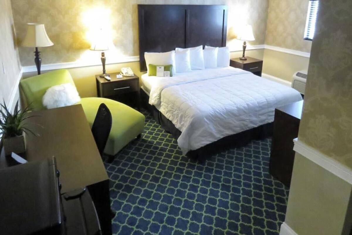 A hotel room with a bed, two bedside tables, a chair, a lamp, and a potted plant.