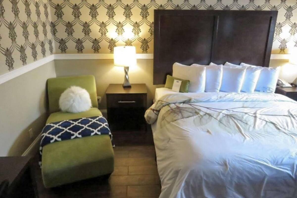 A hotel room with a bed, a nightstand, a lamp, a chair, and a patterned wallpaper.