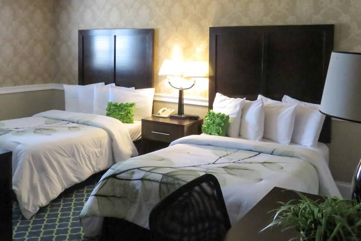 A hotel room with two beds, a nightstand with a lamp, and a small plant.