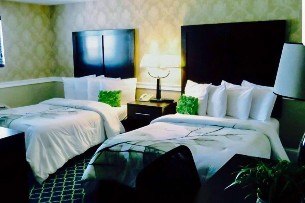 A hotel room with two beds, a nightstand with a lamp, a wardrobe, and a small plant.