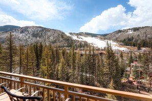 Mountain view - The Wren at Vail (Vail)