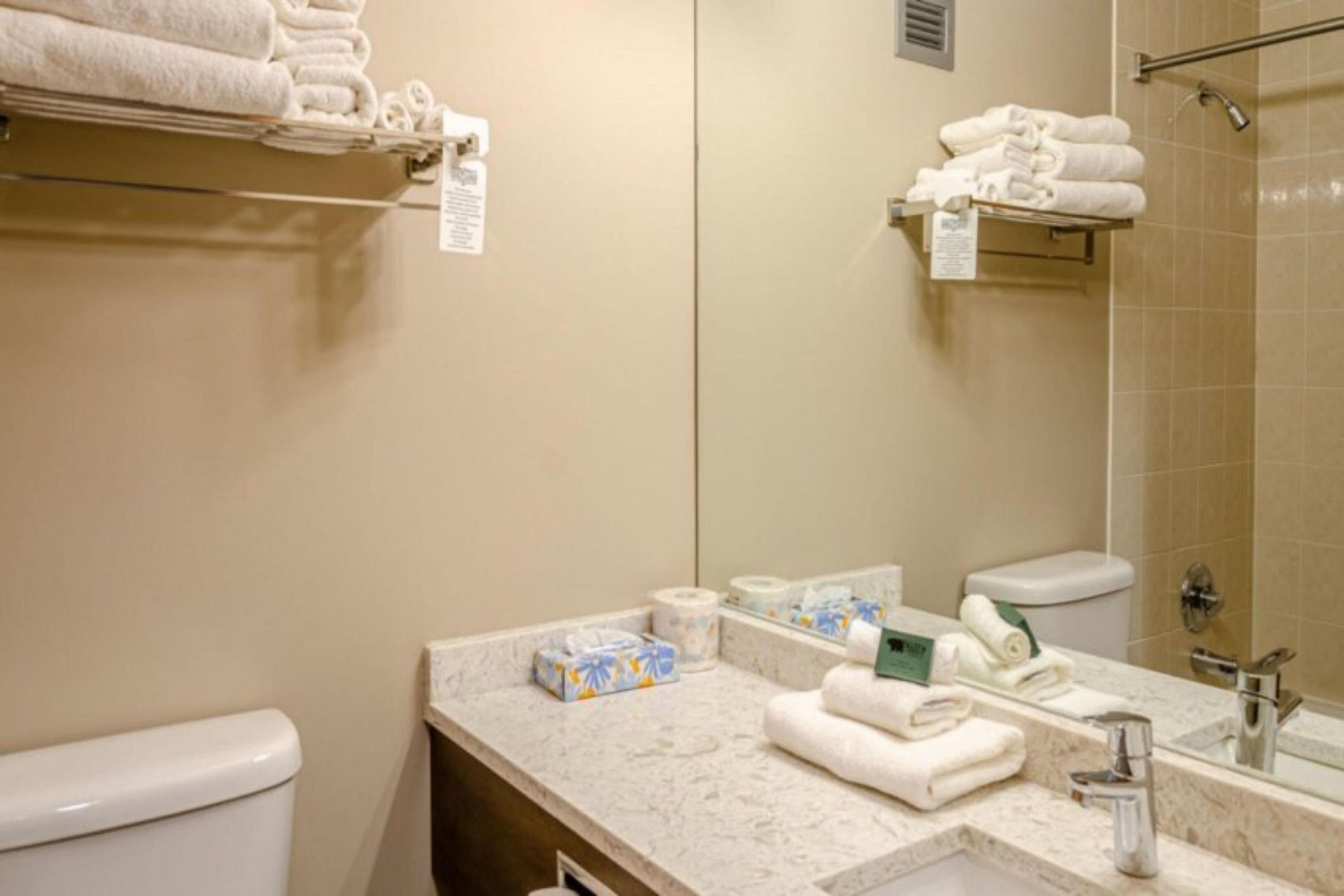 Une salle de bain comprenant des toilettes, un lavabo et un espace douche. Des serviettes et des articles de toilette sont posés sur le comptoir.