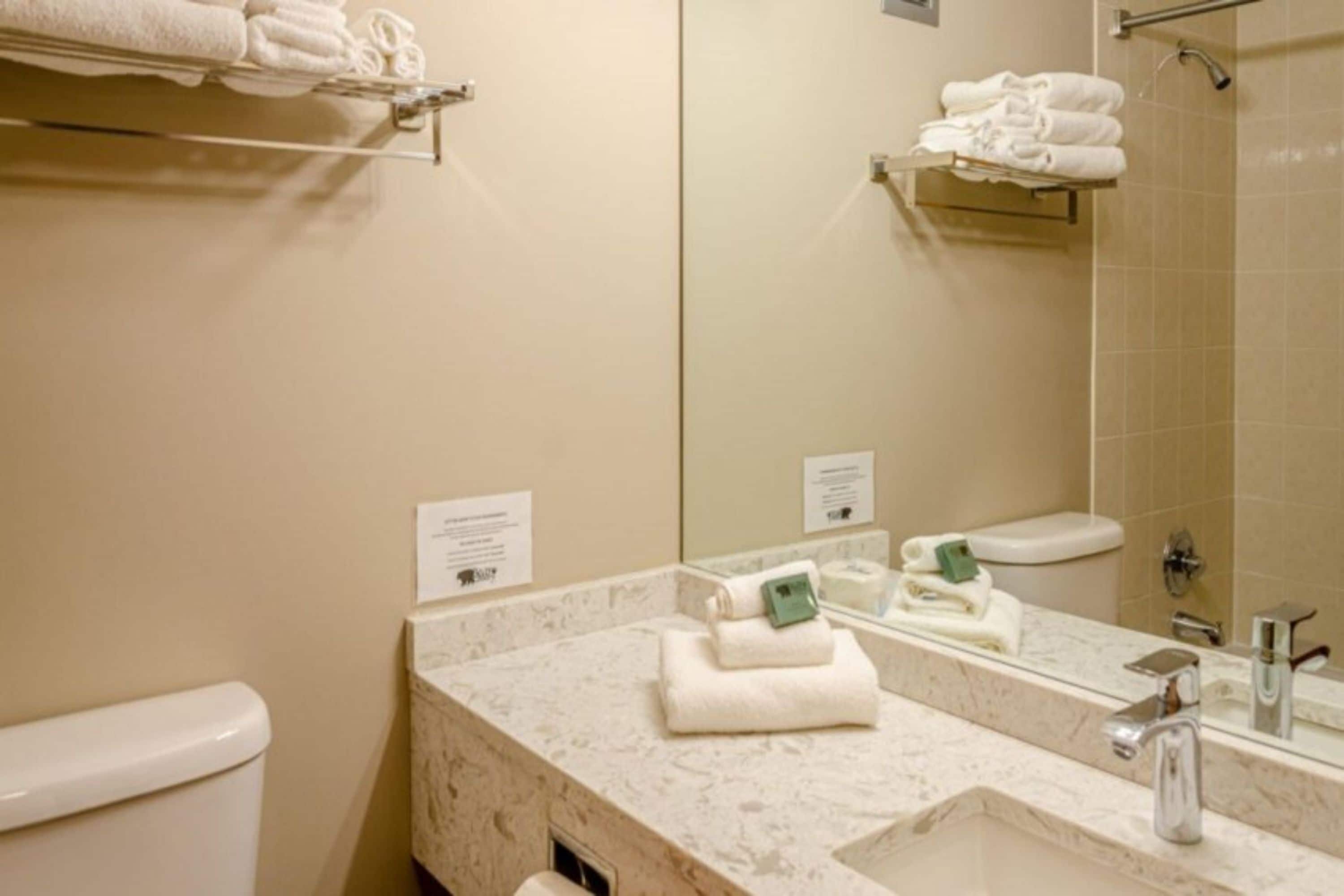 Une salle de bain moderne avec un comptoir en marbre, un lavabo, des toilettes et un espace douche.
