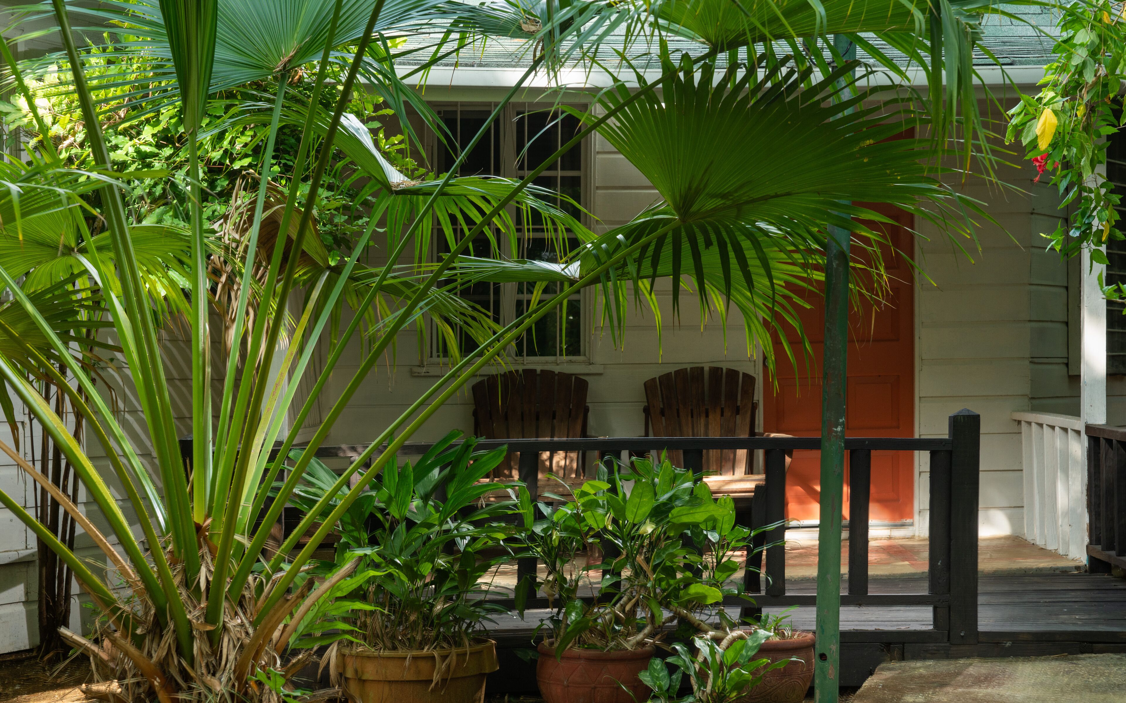 A porch with potted plants, wooden chairs, and a wooden fence.