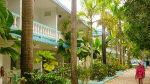 A pathway lined with palm trees and tropical plants, leading to a building with a blue and white exterior.