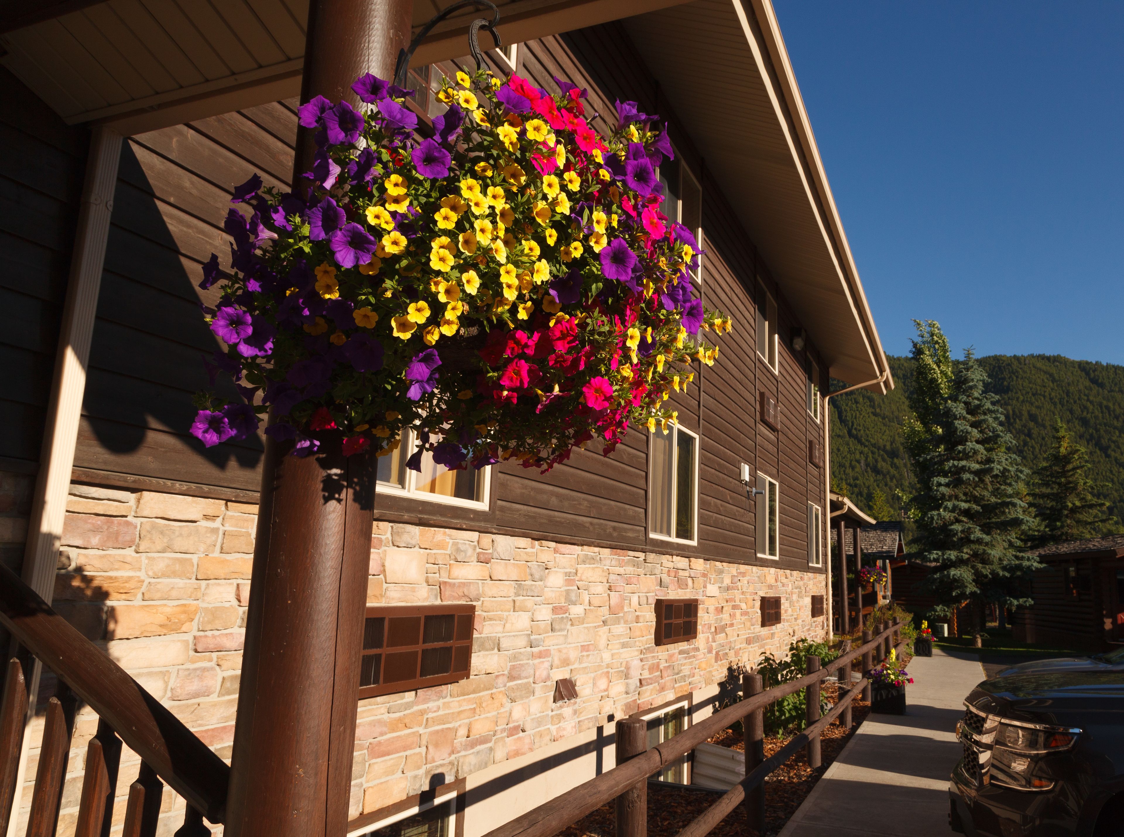 A wooden building with stone walls and a hanging flower basket.