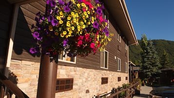A wooden building with stone walls and a hanging flower basket.