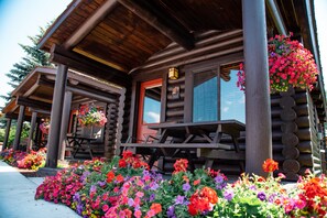 Classic Cabin | Living area | 48-inch LCD TV with cable channels, TV