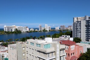 Vista desde la propiedad