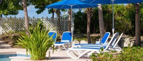 Un espace piscine agrémenté de parasols bleus, de chaises longues et d’une petite plante.