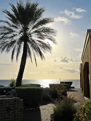 Área de parrilladas y picnic