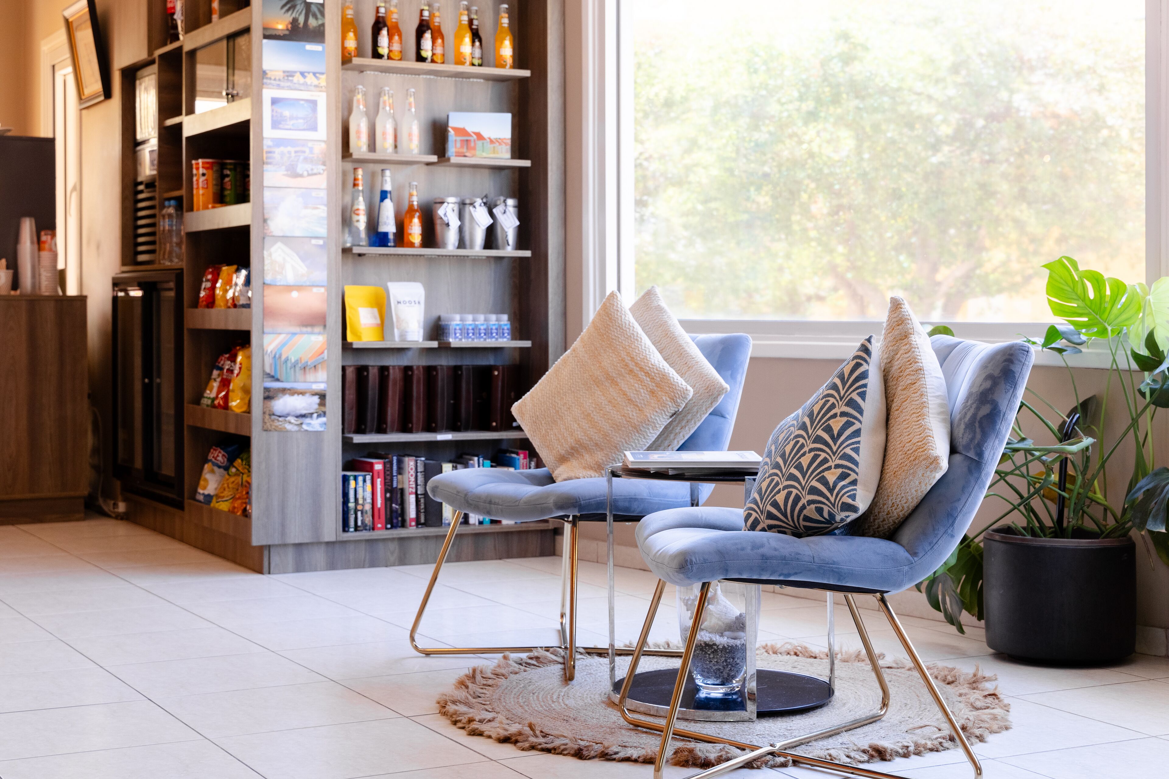 Una sala moderna con un sillón azul, una estantería y una planta en maceta.