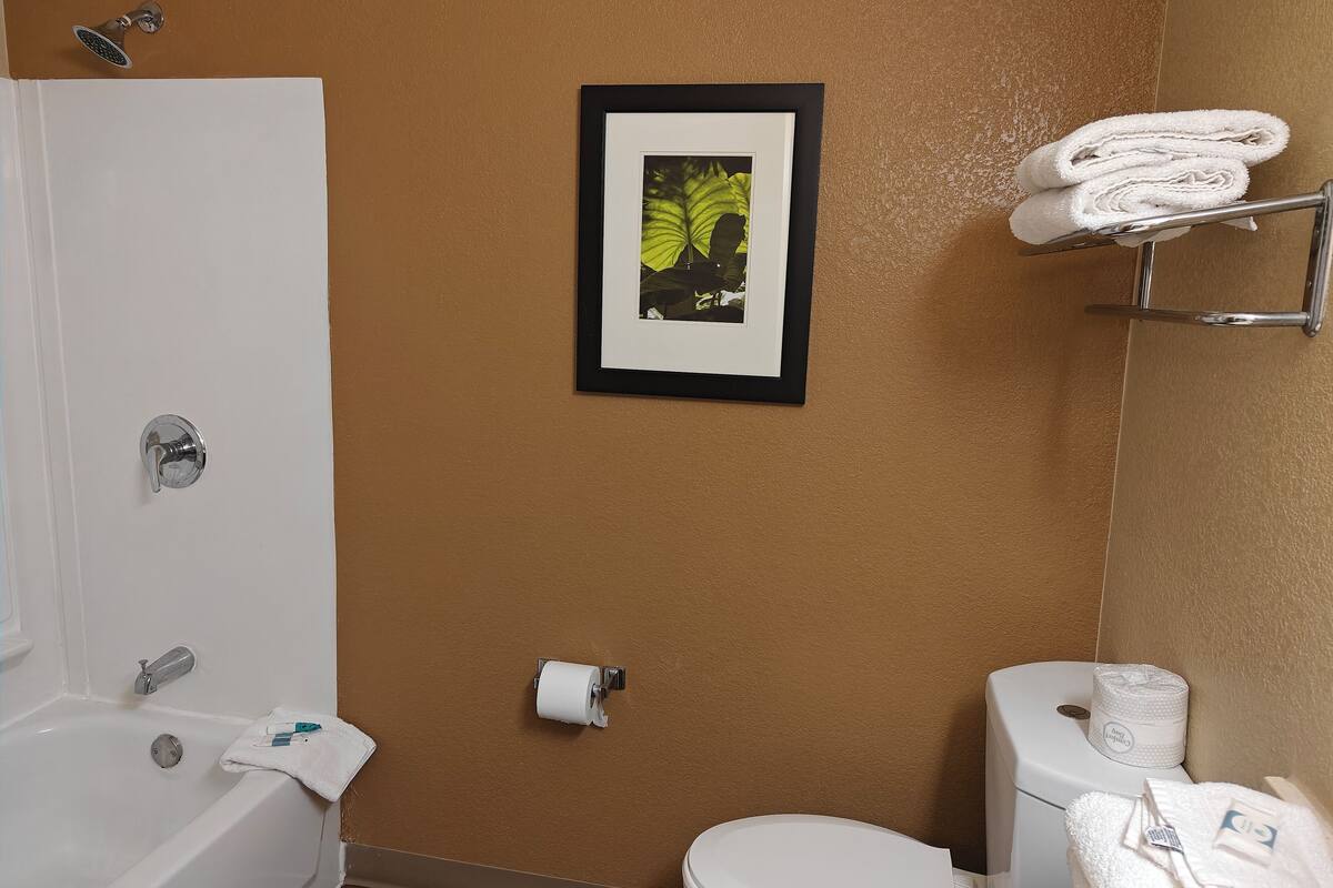 combined shower/bathtub, free toiletries, hair dryer, towels