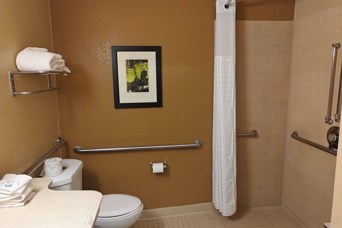 combined shower/bathtub, free toiletries, hair dryer, towels