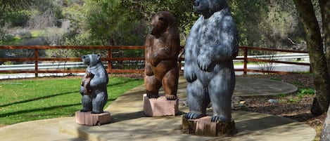 Áreas de la propiedad