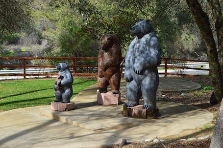 Áreas de la propiedad. Cedar Lodge