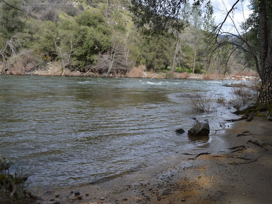 صيد الأسماك