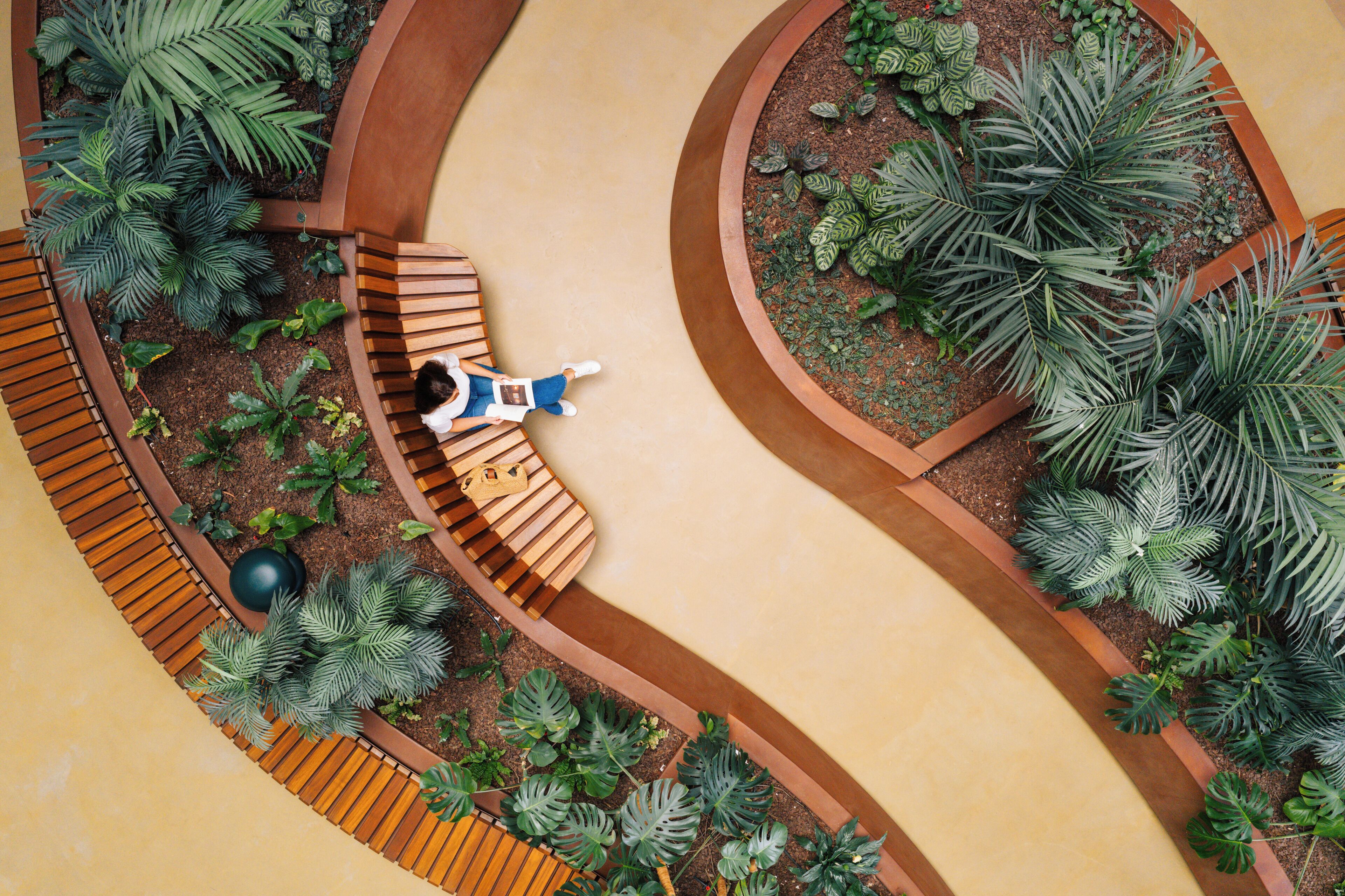 A top-down view of a landscaped outdoor area with a curved wooden bench, various tropical plants, and a small statue.