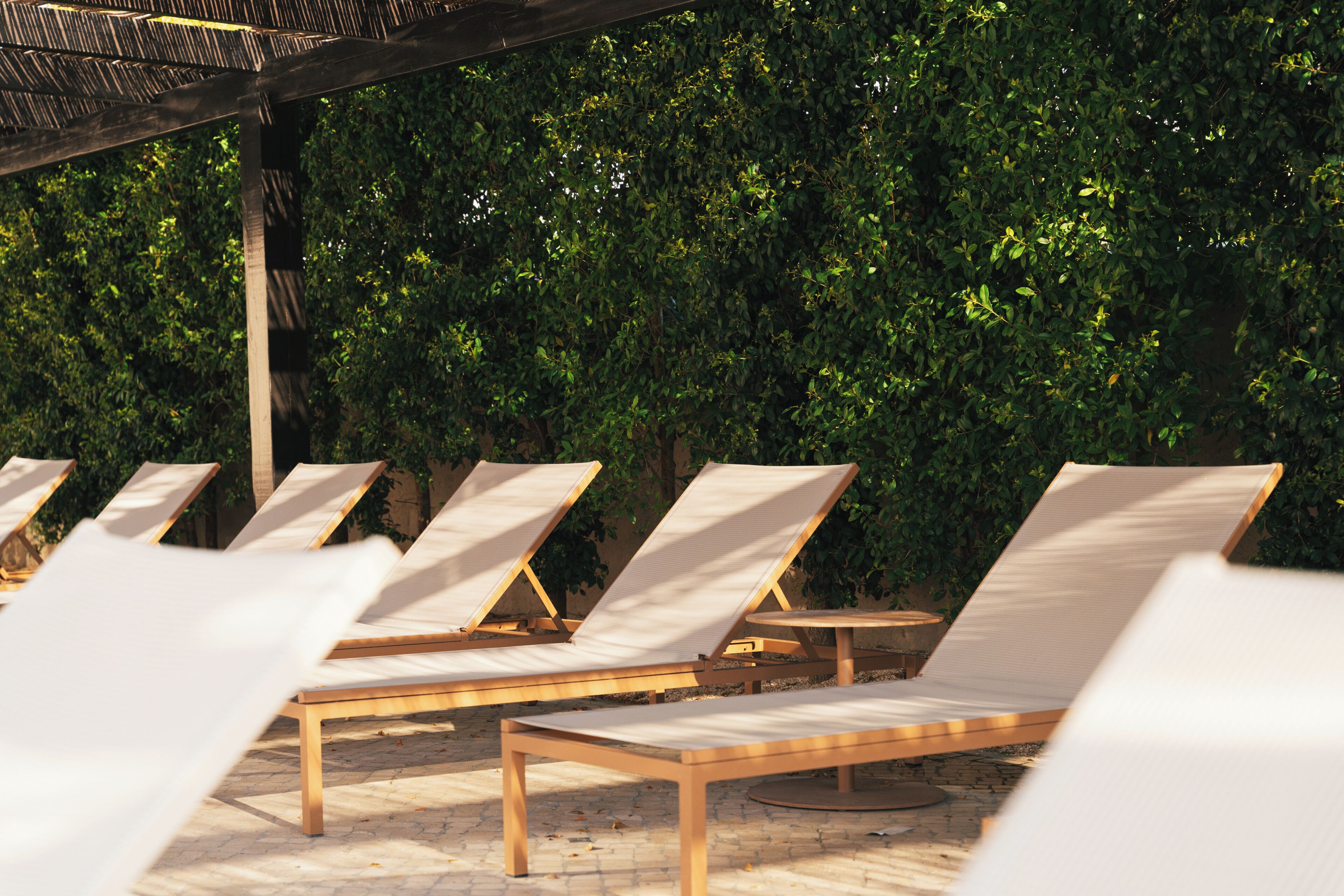 Filas de sillones de madera con cojines blancos, dispuestos al aire libre frente a un denso follaje verde.