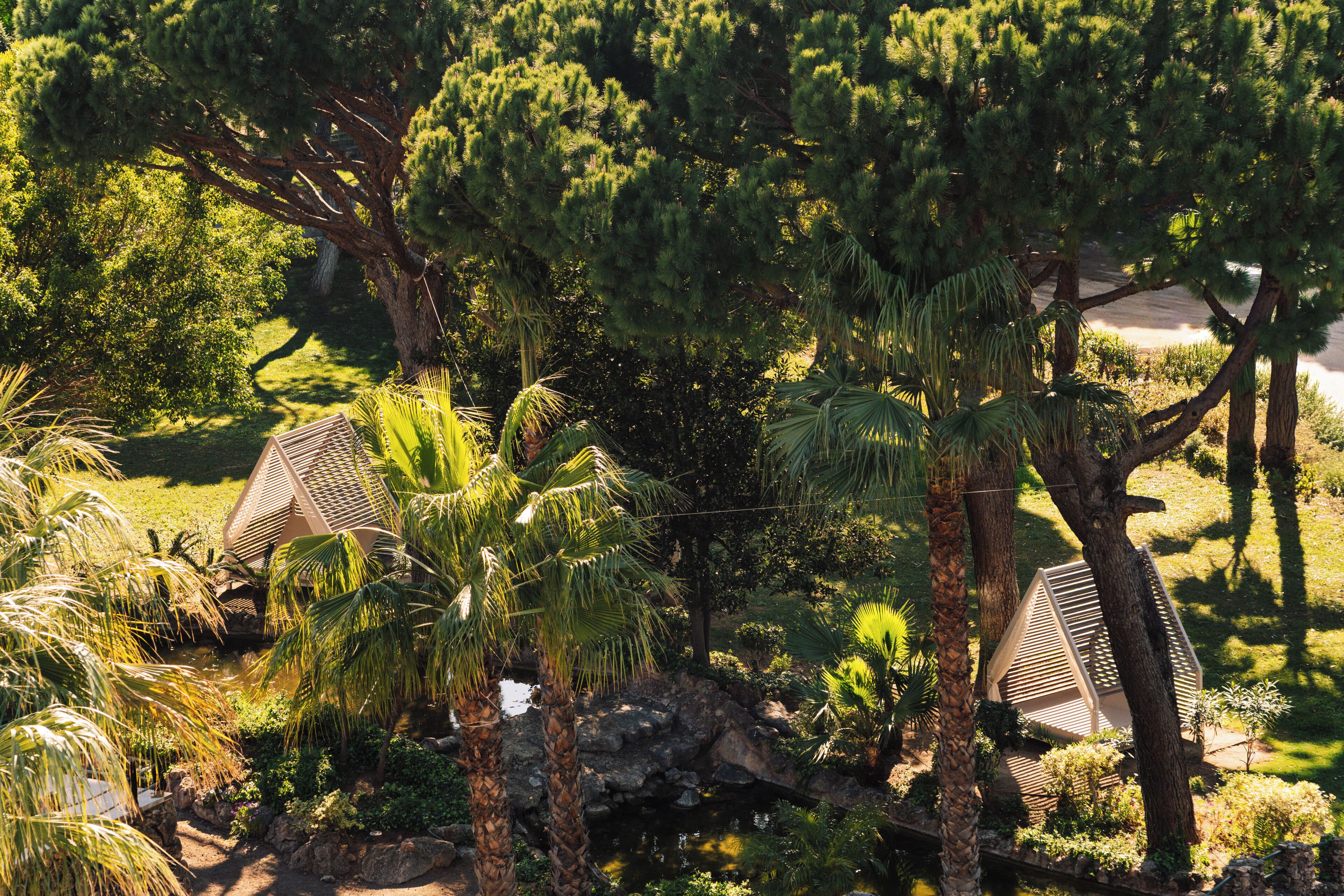 ジュニア スイート | ガーデン ビュー