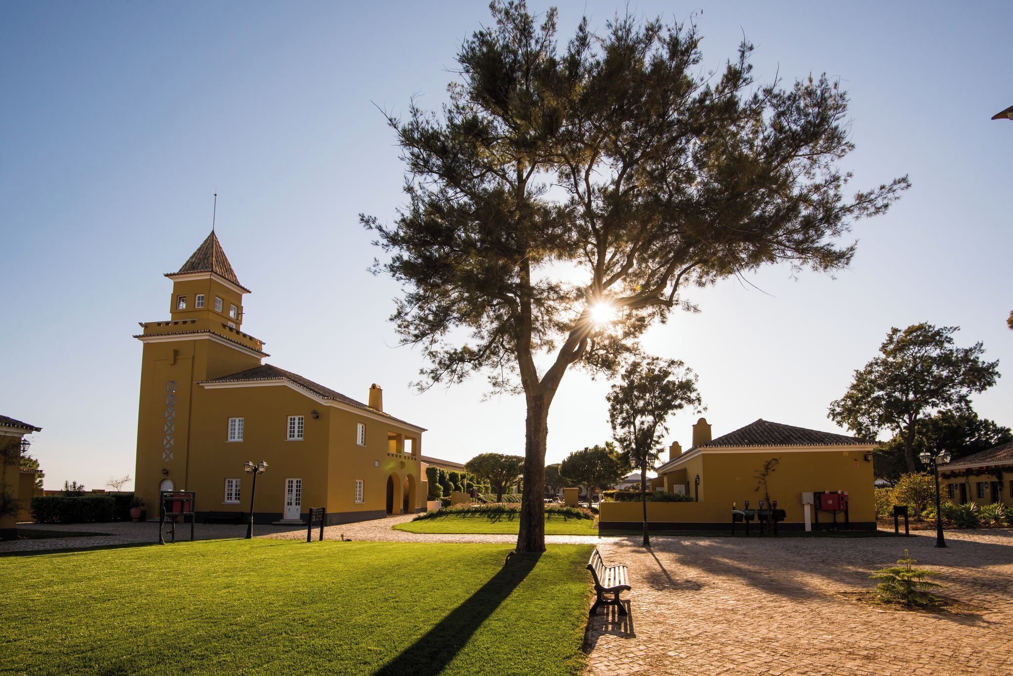 A yellow building with a tower, a tree in the foreground, and a paved courtyard.
