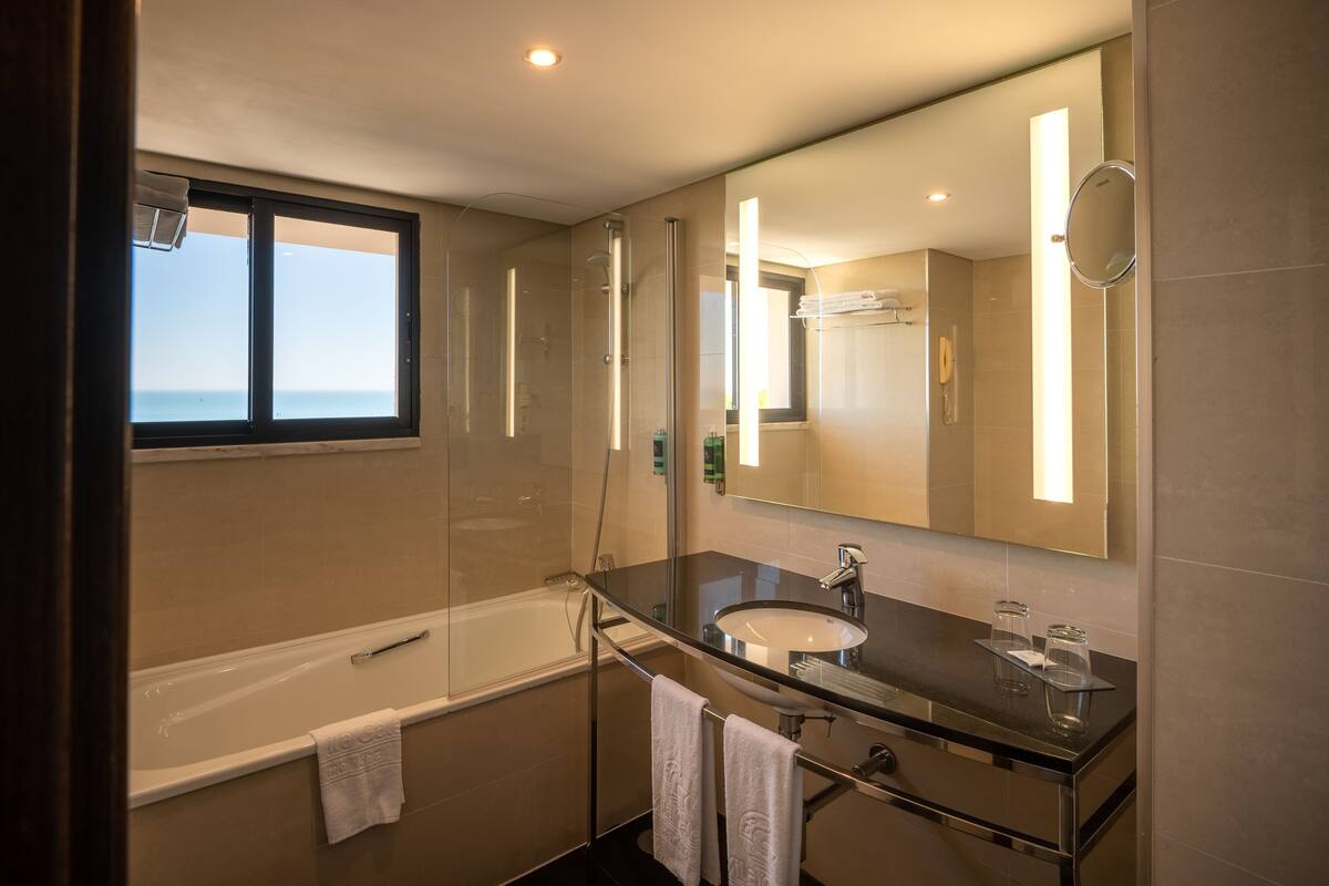 combined shower/bathtub, free toiletries, hair dryer, bidet