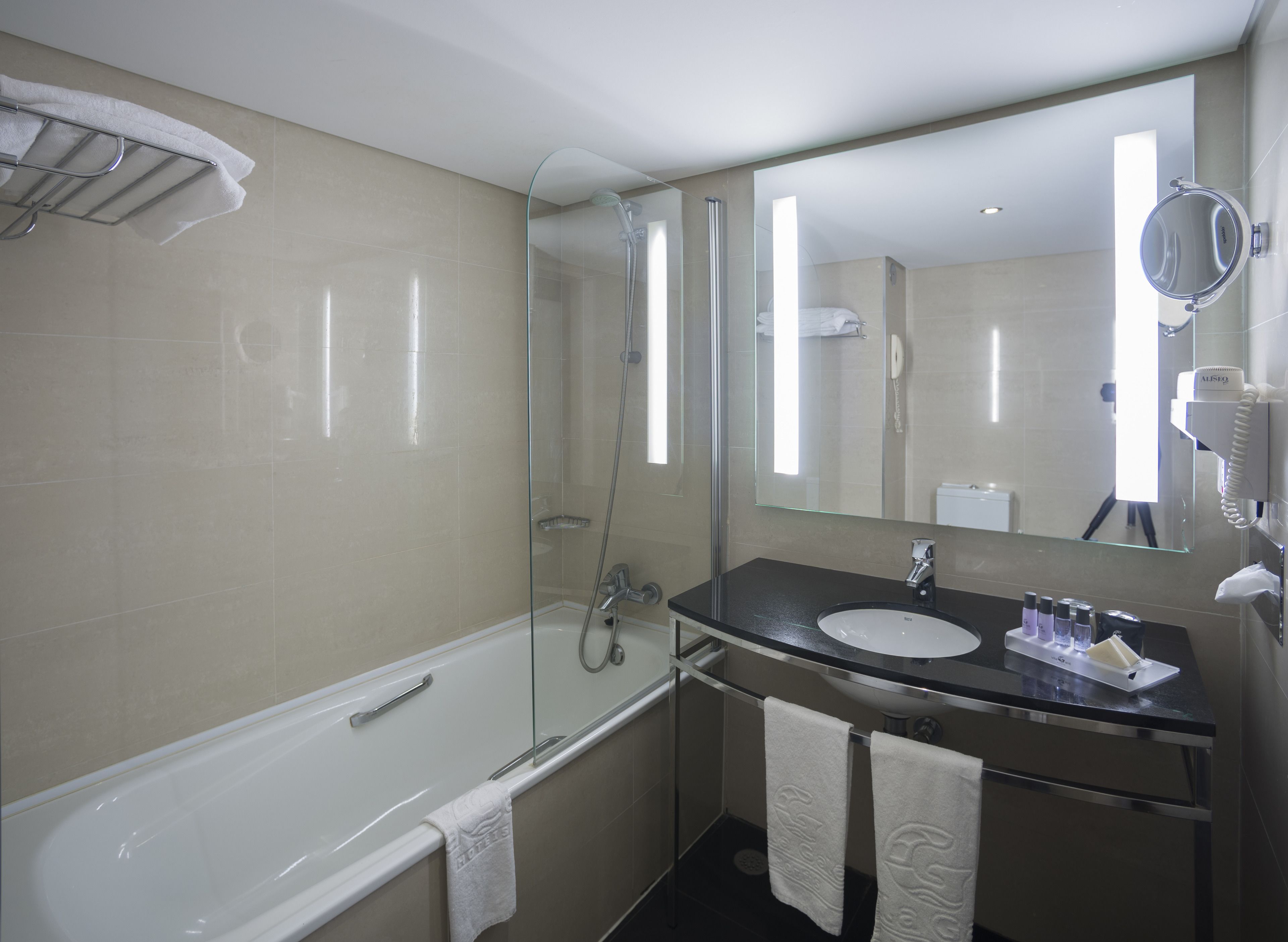 combined shower/bathtub, free toiletries, hair dryer, bidet