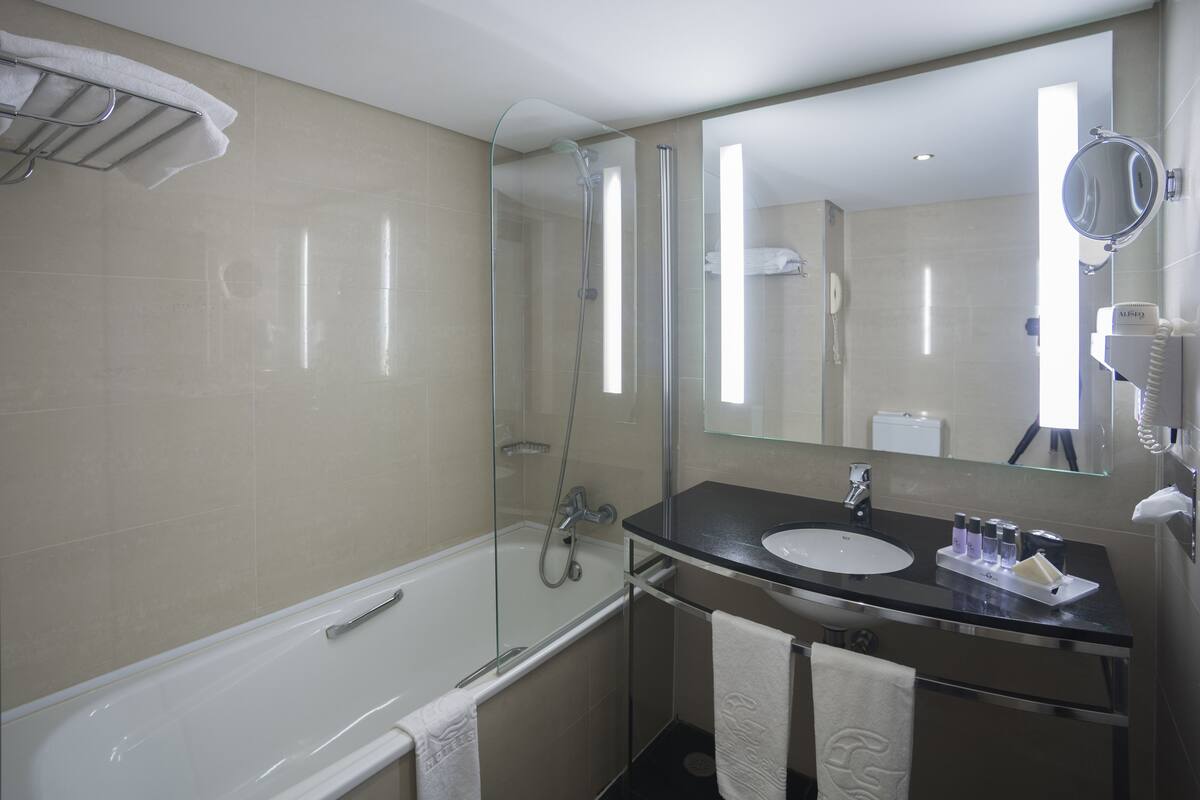 combined shower/bathtub, free toiletries, hair dryer, bidet