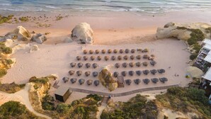 Vista aerea di una spiaggia con numerosi tavoli rotondi e ombrelloni disposti a griglia, una struttura in legno e un litorale roccioso.